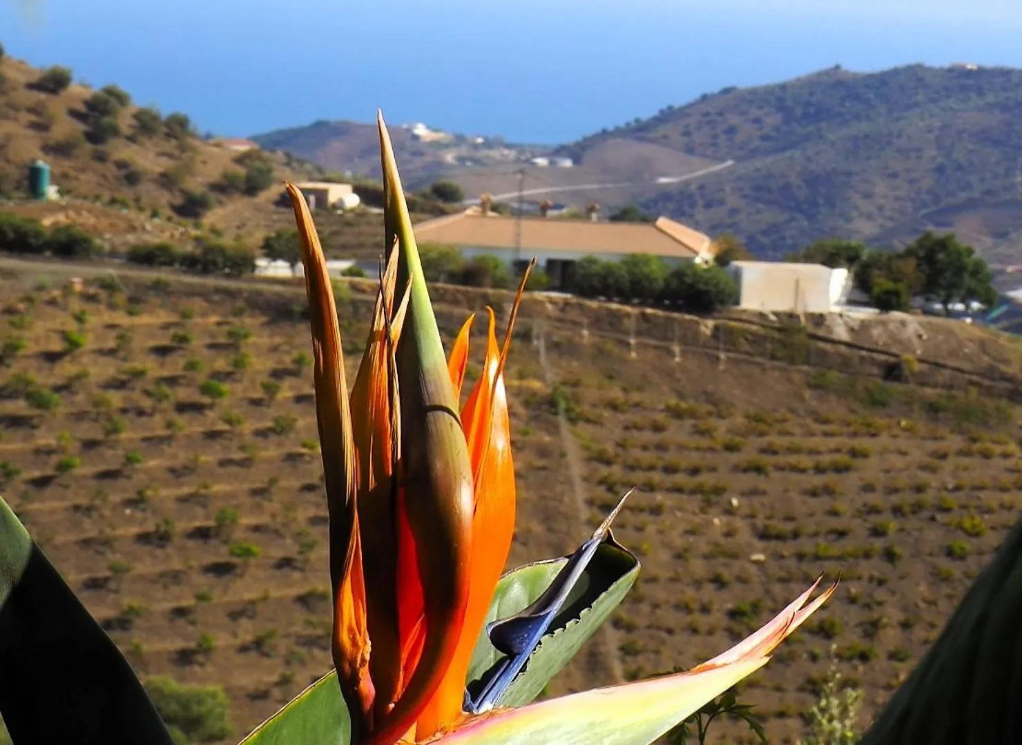 Casa Feliz Villa Iznate Spain
